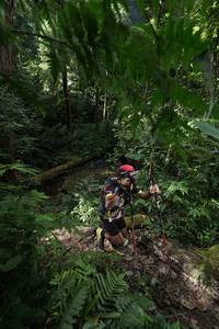 BIB: 5130
                            <button type="button" onclick="openModal(16032964)" class="btn btn-primary btn-sm float-right btn-popup" data-toggle="modal" data-target=".modal-high-quality">
                        <i class="fas fa-shopping-cart"></i> Add to Cart
                    </button>
                                            <button type="button" onclick="isThisMe(16032964, true)" class="btn btn-success btn-sm float-right btn-popup btn-isme hidden" data-toggle="tooltip" data-placement="bottom" title="นี่คือรูปของคุณใช่ไหม คลิกที่นี่เพื่อเอาเข้าอัลบั้ม">
                        <i class="fas fa-plus"></i> Add to album
                    </button>
                    <button type="button" onclick="isThisMe(16032964, false)" class="btn btn-warning btn-sm float-right btn-popup btn-isnotme hidden">
                        <i class="fas fa-ban"></i> Remove from album
                    </button>